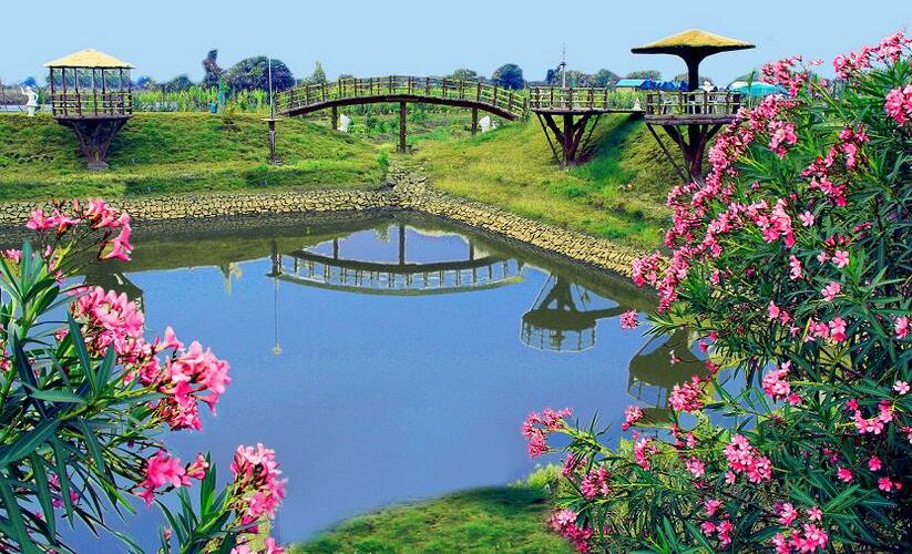 Olive Nature Park & Resort, Nagpur 5